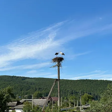 вершина Szeszory